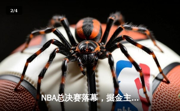 NBA总决赛落幕，掘金主场击败热火夺得队史首冠 - 2